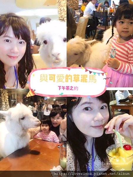 thumbnail_image1 拷貝