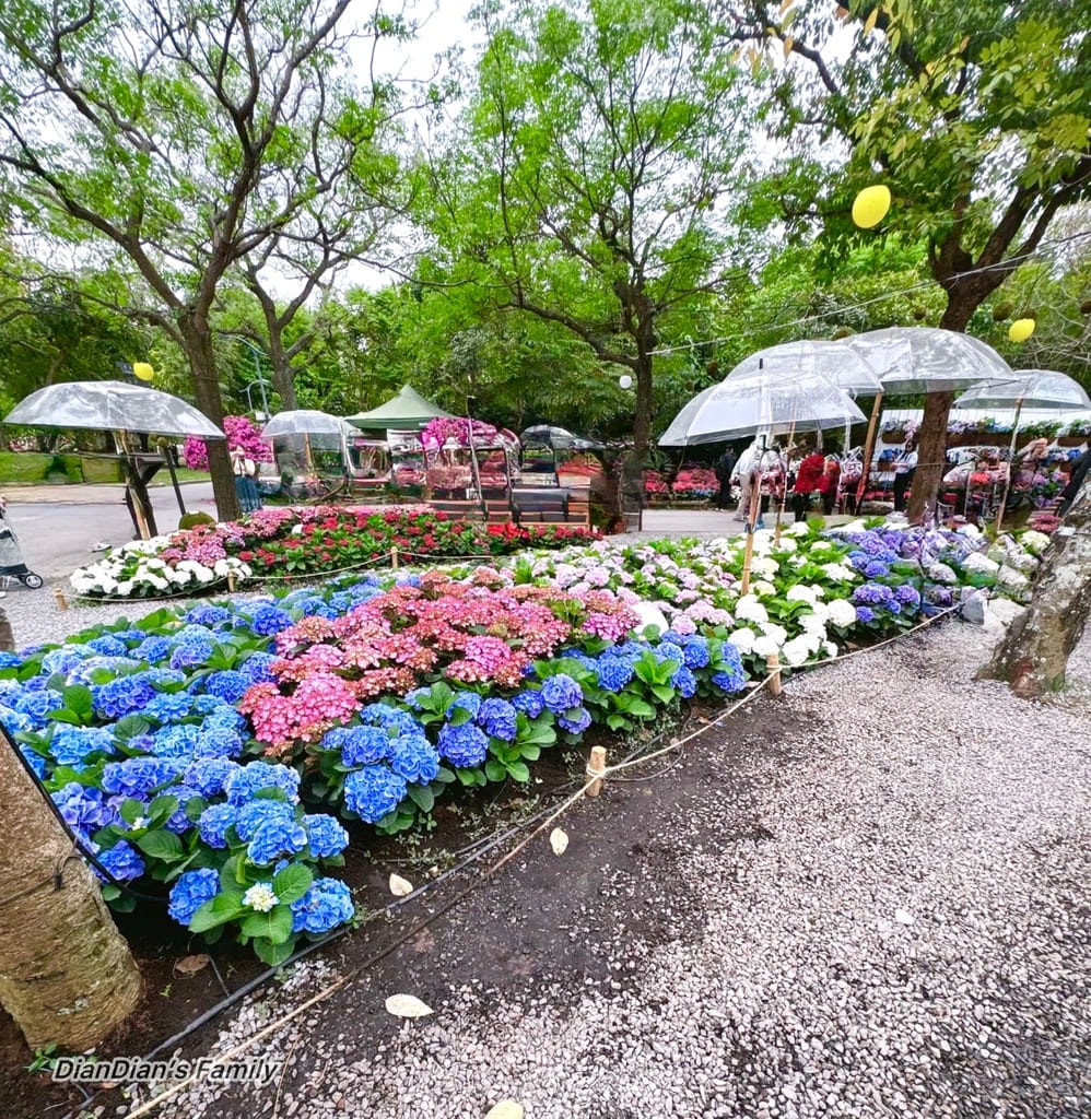 【捷運直達】2026大安森林公園花季全攻略：21萬株杜鵑與繡球齊放！「拾花號」方舟登場，賞花最佳時間大公開