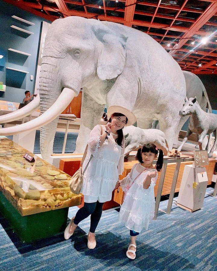 【 518 國際博物館日】🏛️全台博物館免費入館懶人包!週末就出發,親子文藝週必收藏 - 第6張圖 【 518 國際博物館日】🏛️全台博物館免費入館懶人包!週末就出發,親子文藝週必收藏
