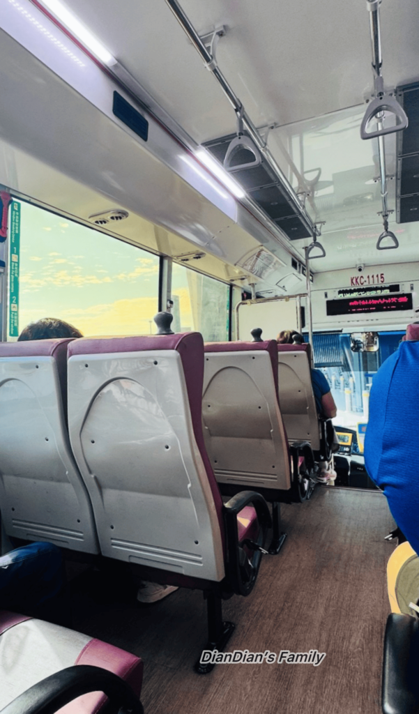 🚌［淡江大橋通車］亮點！最新公車路線啟動、大幅縮短路程，淡水到桃園機場看飛機半日遊，期間限定優惠車票（單趟5元）預約教學